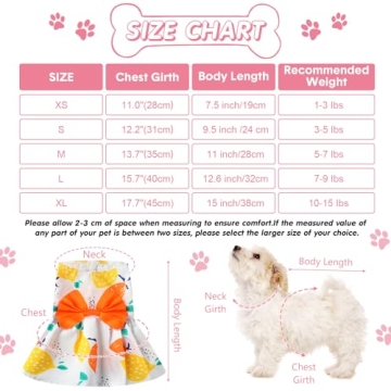 5 Cute Summer Dog Dresses for Small Pets