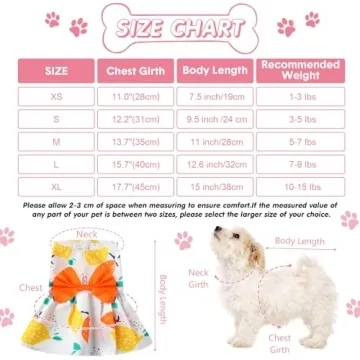 5 Cute Summer Dog Dresses for Small Pets