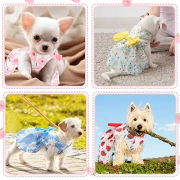 5 Cute Summer Dog Dresses for Small Pets