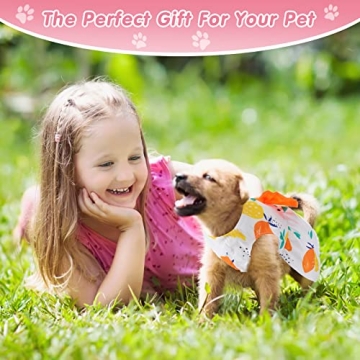 5 Cute Summer Dog Dresses for Small Pets