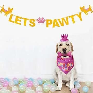 IDOLPET Dog Birthday Set with Bandana, Hat & Toy