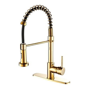 Elegant Gold Kitchen Faucet with Dual Mode Sprayer