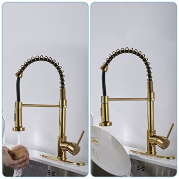 Elegant Gold Kitchen Faucet with Dual Mode Sprayer