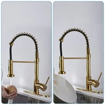 Elegant Gold Kitchen Faucet with Dual Mode Sprayer