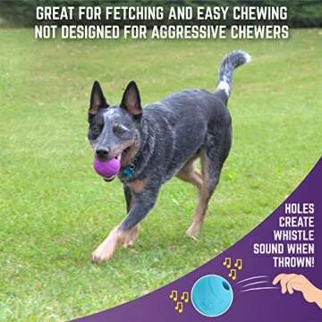 Chew King Fetch Balls Extremely Durable Natural Rubber Toy 3 inch Balls (CM-0263-CS01) , 3 Count ( Pack of 1)