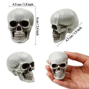 Realistic Halloween Skulls for Decorations and Crafts