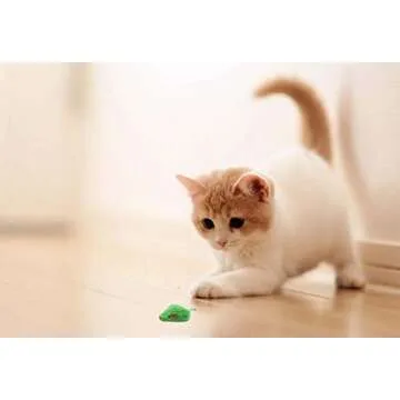 AXEL PETS 20 St Patrick's Day Irish Festive Holiday Cat Mice Toys with Catnip and Rattle Sound Made of Real Rabbit Fur Interactive Catch Play Mouse Toy for Cat, Pack of 20 Mice