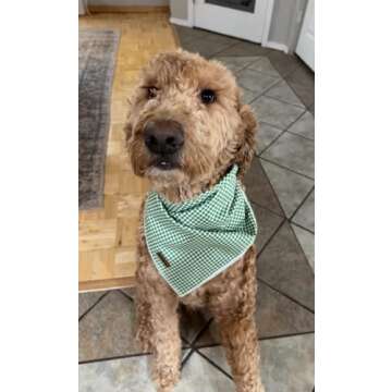 Lionet Paws Dog Bandana for Small Medium Large Dogs, Cat Dogs Kerchief Triangle Bibs Scarf for Girl or Boy