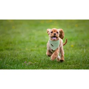 Lionet Paws Dog Bandana for Small Medium Large Dogs, Cat Dogs Kerchief Triangle Bibs Scarf for Girl or Boy