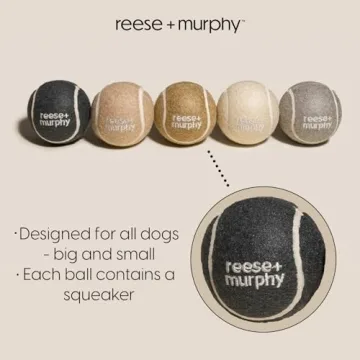 Reese+Murphy Durable Tennis Balls for All Dogs