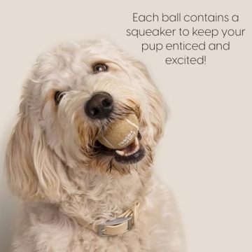 Reese+Murphy Durable Tennis Balls for All Dogs