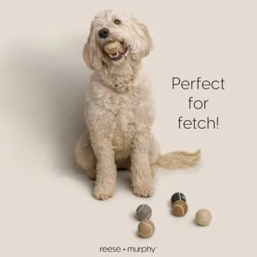 Reese+Murphy Durable Tennis Balls for All Dogs