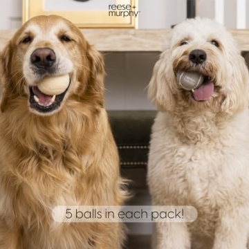 Reese+Murphy Durable Tennis Balls for All Dogs