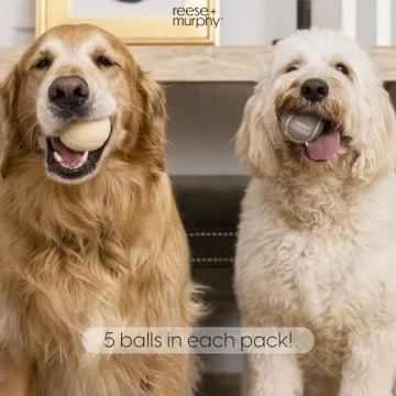 Reese+Murphy Durable Tennis Balls for All Dogs
