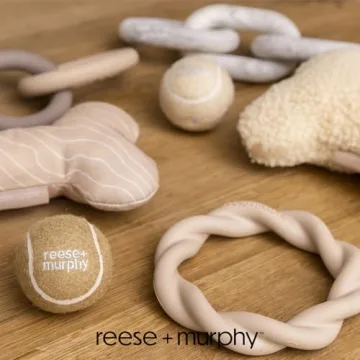Reese+Murphy Durable Tennis Balls for All Dogs