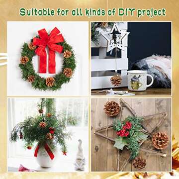 Rocinha Natural Pine Cones for Crafts and Decor