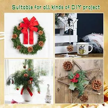 Rocinha Natural Pine Cones for Crafts and Decor