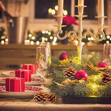 Rocinha Natural Pine Cones for Crafts and Decor