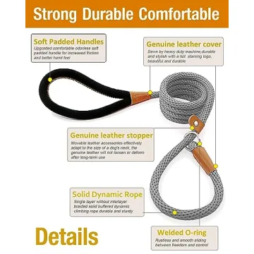 Lynxking Slip Lead Dog Leash for Training and Walking