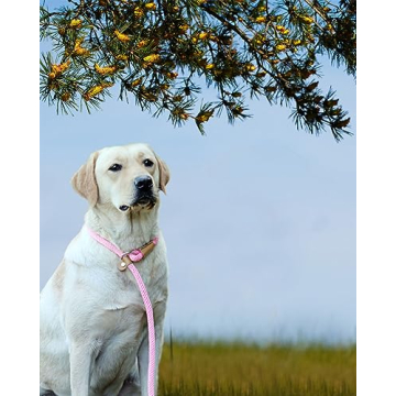 Lynxking Slip Lead Dog Leash for Training and Walking