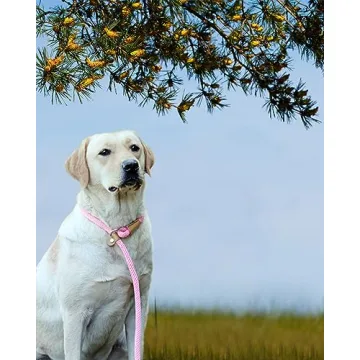 Lynxking Slip Lead Dog Leash for Training and Walking