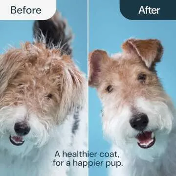 MalsiPree 2-in-1 Dog Grooming Brush for All Breeds