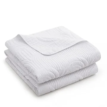 Safonory White Lightweight Microfiber Quilt Set Twin Size
