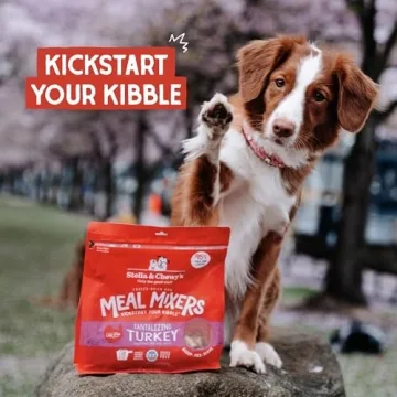 Stella & Chewy's Freeze Dried Raw Turkey Meal Mixer for Dogs