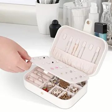 Chic FEISCON Travel Jewelry Box for Jewelry Lovers