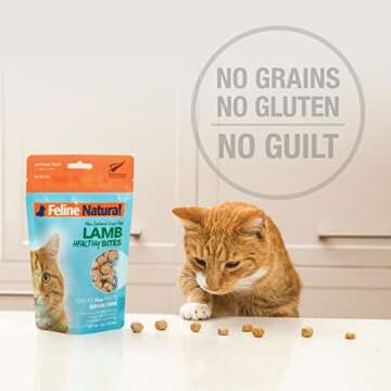 Grain-Free Freeze Dried Cat Treats for Healthy Felines