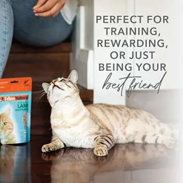 Grain-Free Freeze Dried Cat Treats for Healthy Felines