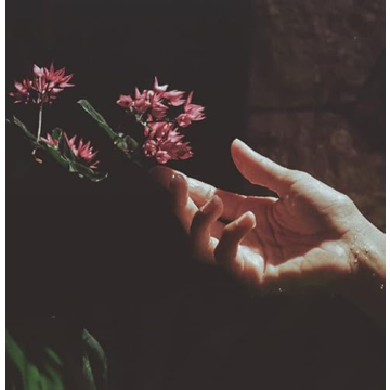 Saltair Signature Scents Bundle - Nourishing Body Wash 2 Pack