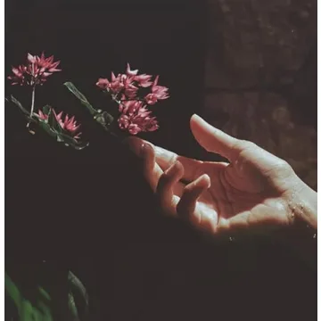 Saltair Signature Scents Bundle - Nourishing Body Wash 2 Pack