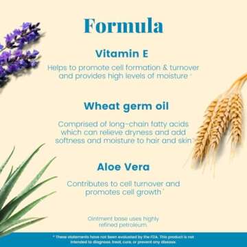 Basic Brands - Vitamin E Ointment - 2 oz - Moisture Enhancing - Can Help Reduce Appearance of Scars, Stretch Marks, Fine Lines & Wrinkles - 3-Pack