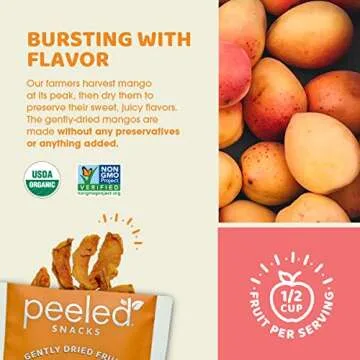 Peeled Snacks Organic Dried Fruit – Healthy, Vegan Snacks for On-the-Go Lunch and More Mango 1.23 Oz (Pack of 10)