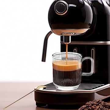 Rechano Glass Coffee Mugs Set with Lids and Spoons - 12 oz