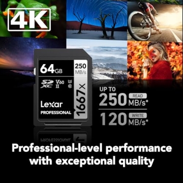 Lexar 64GB Professional Memory Cards for High-Speed Photography