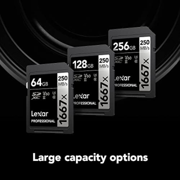 Lexar 64GB Professional Memory Cards for High-Speed Photography
