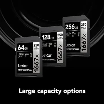 Lexar 64GB Professional Memory Cards for High-Speed Photography