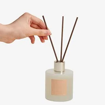 Cocorrína Coconut Lime Reed Diffuser | 90 Days of Aroma