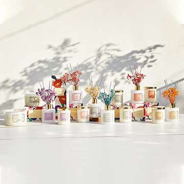 Cocorrína Coconut Lime Reed Diffuser | 90 Days of Aroma