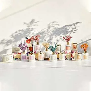 Cocorrína Coconut Lime Reed Diffuser | 90 Days of Aroma