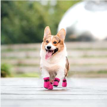 YAODHAOD Dog Shoes for Small Dogs, Anti-Slip Dogs Boots & Paw Protector for Winter Snowy Day, Summer Hot Pavement Dog Booties with Reflective Straps, Cat Dog Shoe for Indoor Hardfloors (Pink, 4)