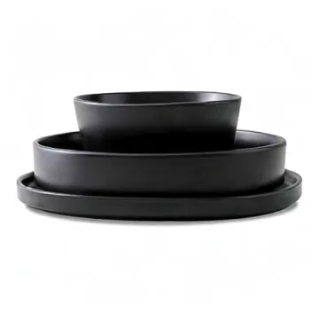 Stone Lain Celina 12-Piece Dinnerware Set in Black