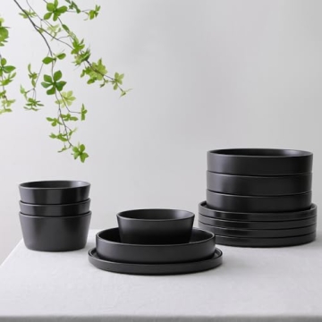 Stone Lain Celina 12-Piece Dinnerware Set in Black