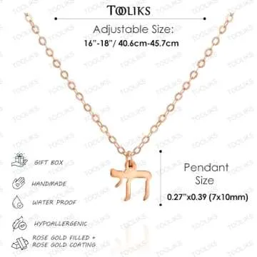 Tooliks - Rose Gold Chai Necklace for Women - Designer Handmade Jewish Jewelry Protection Charm - 16 inch + 2 inch extending chain (rose gold)