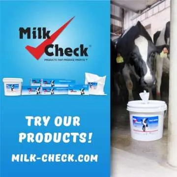 Milk Check Teat Wipes (700 wipes) - Cow, Goat, Sheep Udder Prep - 7 inch x 8 inch Wipes, Reclosable Pail.