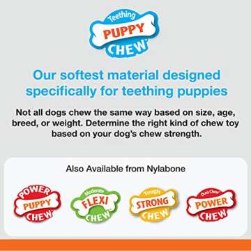 Nylabone Puppy Ring Bone Chew Toy - Puppy Chew Toys for Teething - Puppy Supplies - Chicken Flavor, ...