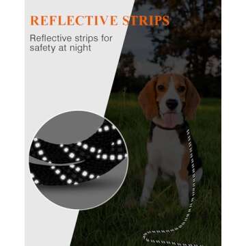 Taglory Long Dog Leash, 15FT 30FT 50FT 66FT, Training and Recall Leash with Comfortable Padded Handle for Large Medium Small Dogs Walking, Camping, Black 30FT