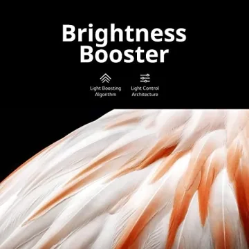 LG C3 OLED evo 4K Smart TV for Ultimate Gaming Experience